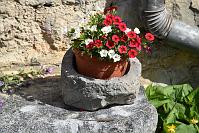 030 Una Montagna di Fiori a Oltre il Colle